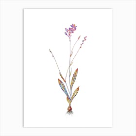 Stained Glass Gladiolus Junceus Mosaic Botanical Illustration on White n.0140 Art Print