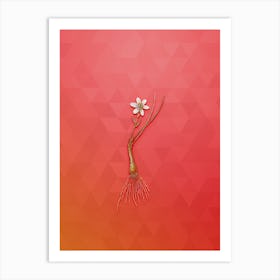 Vintage Snowdon Lily Botanical Art on Fiery Red n.0163 Art Print