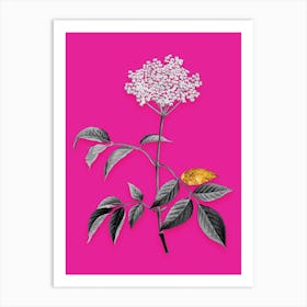 Vintage Elderflower Tree Black and White Gold Leaf Floral Art on Hot Pink n.0637 Art Print
