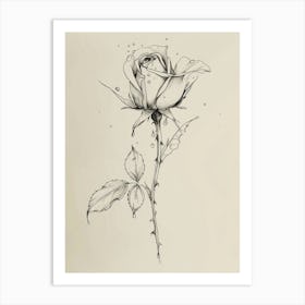 English Rose Dew Line Drawing 4 Art Print