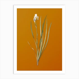 Vintage Siberian Iris Botanical on Sunset Orange n.0846 Art Print