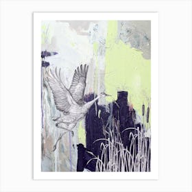 Sandhill Crane  Bird Art Print
