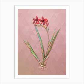 Vintage Gladiolus Cardinalis Botanical Art on Crystal Rose n.0739 Art Print