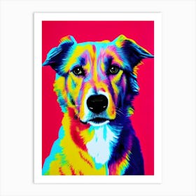 Icelandic Sheepdog Andy Warhol Style Dog Art Print