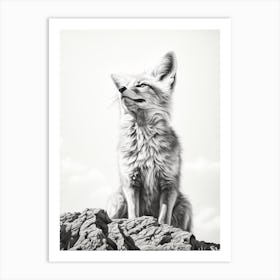 Tibetan Sand Fox Portrait Pencil Drawing 6 Art Print