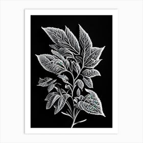 Oregano Leaf Linocut 3 Art Print