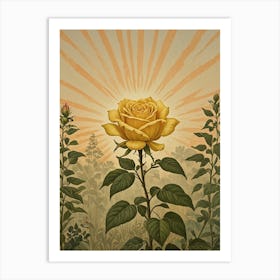 Yellow Rose Art Print