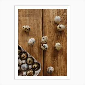 Quail Eggs 29 Art Print