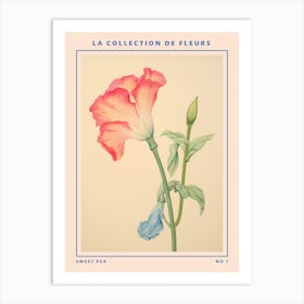 Sweet Pea French Flower Botanical Poster Art Print