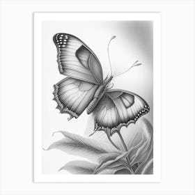 Butterfly On Flower Greyscale Sketch 2 Art Print
