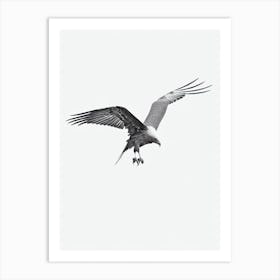 Vulture B&W Pencil Drawing 1 Bird Art Print