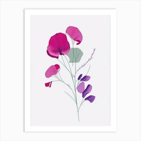 Sweet Pea Floral Minimal Line Drawing 1 Flower Art Print