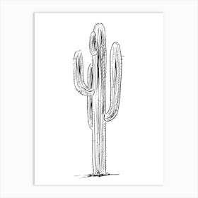 Cactus Isolated On White Art Print