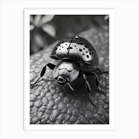 Black And White Beetle Art Print