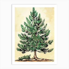 Douglas Fir Tree Storybook Illustration 1 Art Print