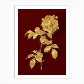 Vintage Seven Sisters Roses Botanical in Gold on Red n.0122 Art Print