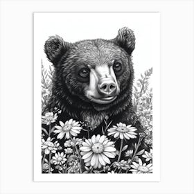 Malayan Sun Bear Cub In A Field Of Flowers Ink Illustration 2 Art Print