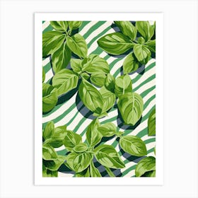 Basil Summer Illustration 11 Art Print