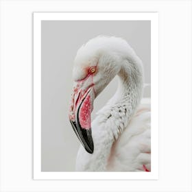 Flamingo 3 Art Print