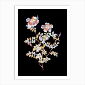Stained Glass Variegated Burnet Rose Mosaic Botanical Illustration on Black n.0332 Art Print