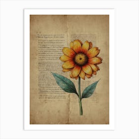 Flower In A Book Art Print