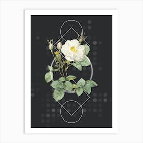 Vintage White Rose of York Botanical with Geometric Line Motif and Dot Pattern n.0319 Art Print