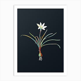 Vintage Rain Lily Botanical Watercolor Illustration on Dark Teal Blue n.0461 Art Print