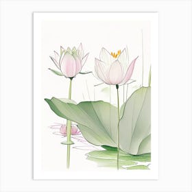 Lotus Flowers In Park Pencil Illustration 2 Art Print