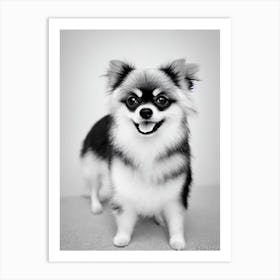 Pomeranian B&W Pencil Dog Art Print
