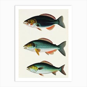 Yellowtail Snapper Vintage Poster Art Print