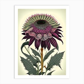 Echinacea Flower Art Print