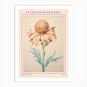 Gaillardia 2 French Flower Botanical Poster Art Print