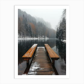 Lake In Winter Art Print