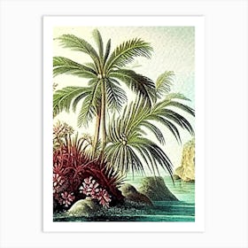 Coral Reef Waterscape Vintage Illustration 1 Art Print