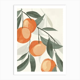 Apricot Close Up Illustration 2 Art Print