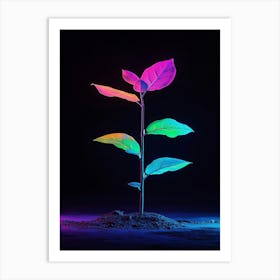 Plant Growing In The Dark 11 Art Print