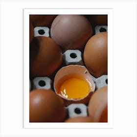 Egg Stock Videos & Royalty-Free Footage Art Print