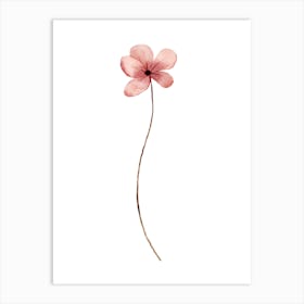 Single Pink Flower Art Print