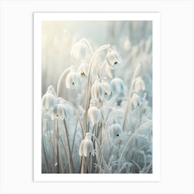 Frosty Botanical Snowdrop 2 Art Print