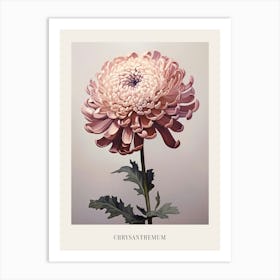 Floral Illustration Chrysanthemum 1 Poster Art Print