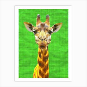 Giraffe On Green Background Art Print