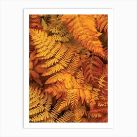 Pattern Poster Autumn Fern 3 Art Print