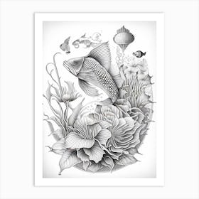 Butterfly Koi Fish Haeckel Style Illustastration Art Print