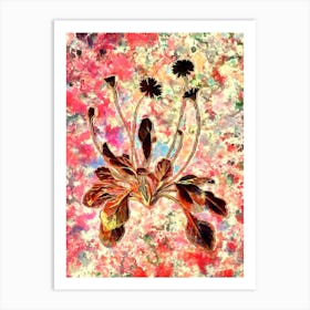 Impressionist Daisy Flowers Botanical Painting in Blush Pink and Gold Art Print