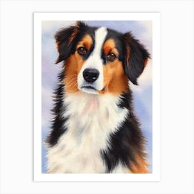 Miniature American Shepherd 3 Watercolour Dog Art Print