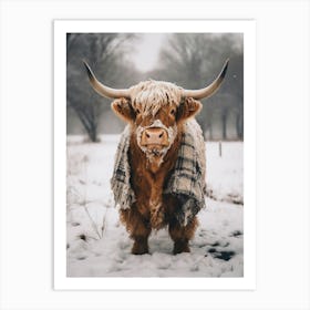 scotish cattle in the snow Art Print