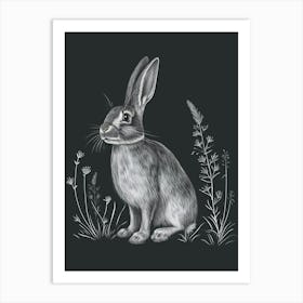 English Silver Rabbit Minimalist 2 Art Print