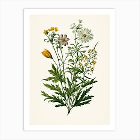 Vintage Botanical Galleria Style Wildflower Painting 13 Art Print