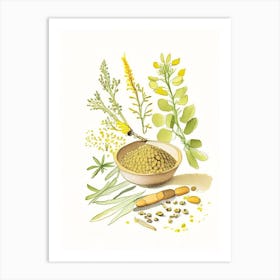 Fenugreek Spices And Herbs Pencil Illustration 2 Art Print
