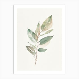 Uva Ursi Leaf Minimalist Watercolour Art Print